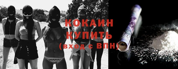 ешки Алексеевка