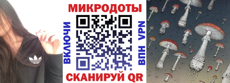 Галлюциногенные грибы прущие грибы  ОМГ ОМГ ССЫЛКА  Шацк 